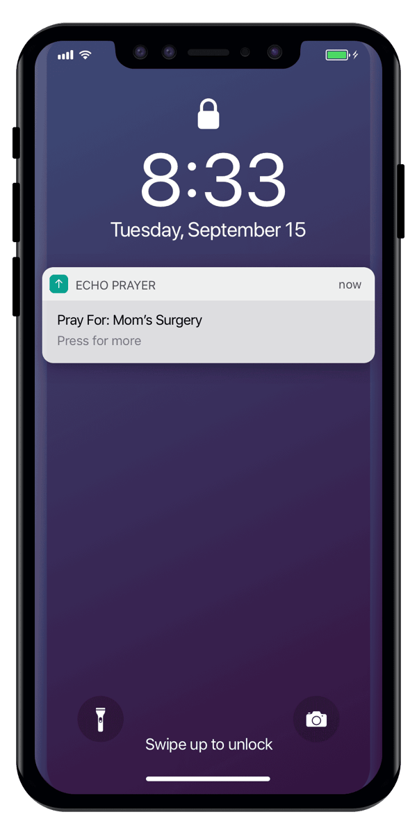 Echo Example Screen 3 - Reminders